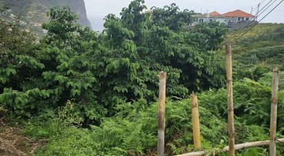 Terrain à Porto da Cruz de 990 m²