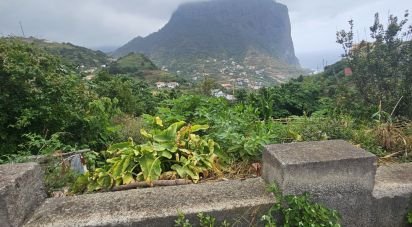 Terrain à Porto da Cruz de 990 m²