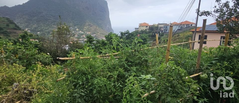 Terreno em Porto da Cruz de 990 m²