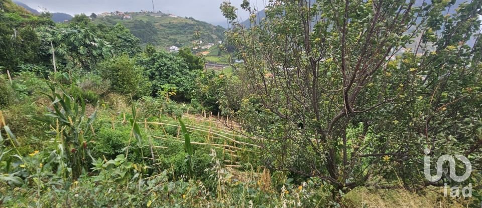 Terreno em Porto da Cruz de 990 m²