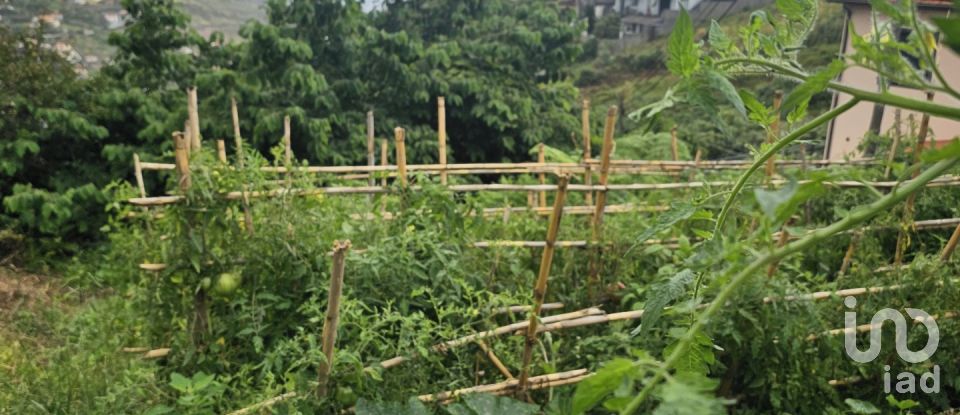 Terreno em Porto da Cruz de 990 m²