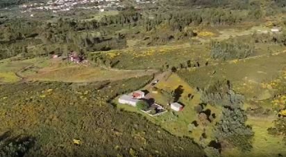 Maison T2 à Salgueiro do Campo de 133 m²