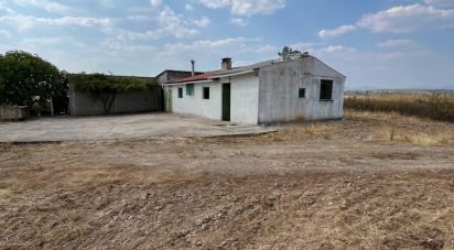 Maison T2 à Salgueiro do Campo de 133 m²