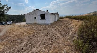 Maison T2 à Salgueiro do Campo de 133 m²