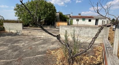 Moradia T2 em Salgueiro do Campo de 133 m²