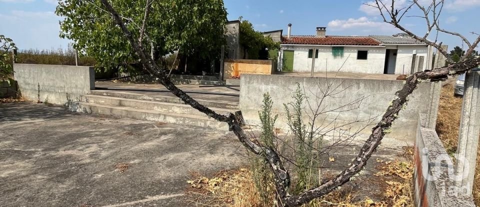 Maison T2 à Salgueiro do Campo de 133 m²