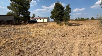 Moradia T2 em Salgueiro do Campo de 133 m²