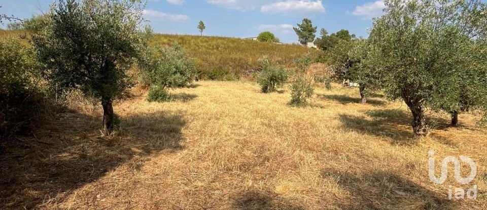 Maison T2 à Salgueiro do Campo de 133 m²