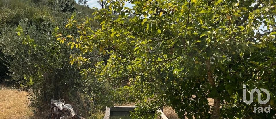 Maison T2 à Salgueiro do Campo de 133 m²