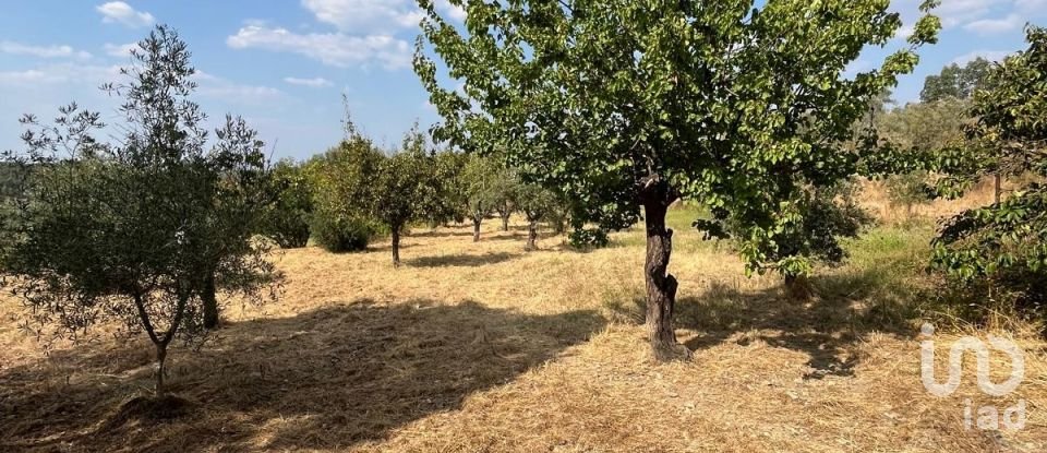 Maison T2 à Salgueiro do Campo de 133 m²