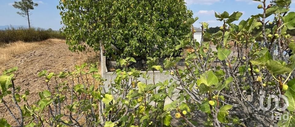 Maison T2 à Salgueiro do Campo de 133 m²