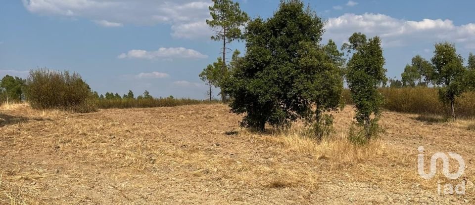 Maison T2 à Salgueiro do Campo de 133 m²