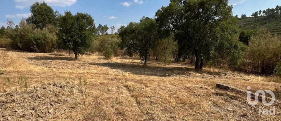 Maison T2 à Salgueiro do Campo de 133 m²