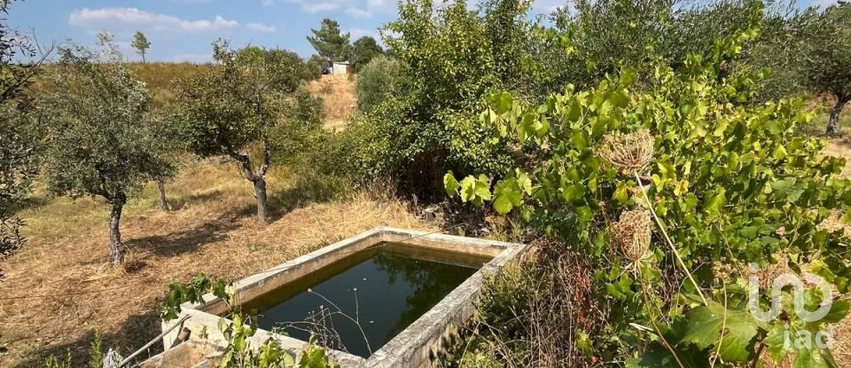 Maison T2 à Salgueiro do Campo de 133 m²