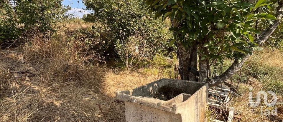 Maison T2 à Salgueiro do Campo de 133 m²