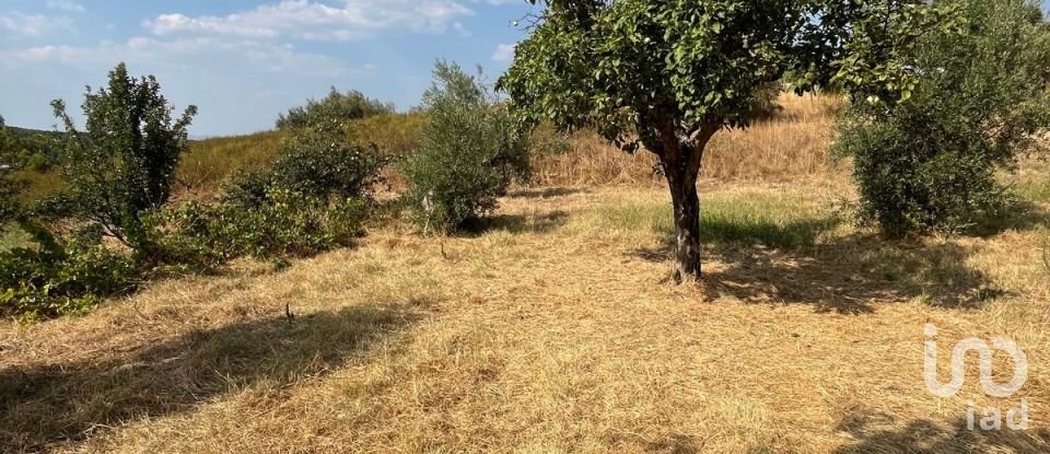 Maison T2 à Salgueiro do Campo de 133 m²