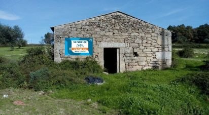 Terrain agricole à Peraboa de 130 000 m²