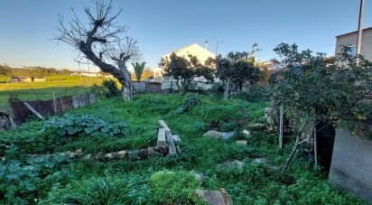 Terreno em Vila Nova da Baronia de 260 m²