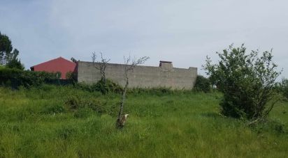 Terrain à Carvalhal de 5 880 m²