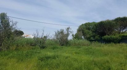 Terrain à Carvalhal de 5 880 m²