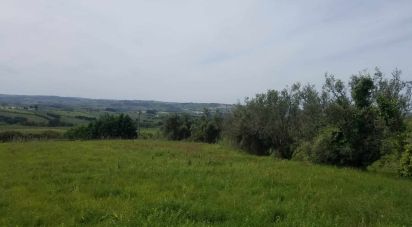 Terrain à Carvalhal de 5 880 m²