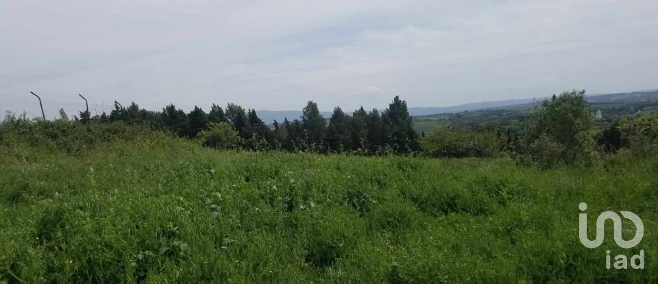 Terrain à Carvalhal de 5 880 m²