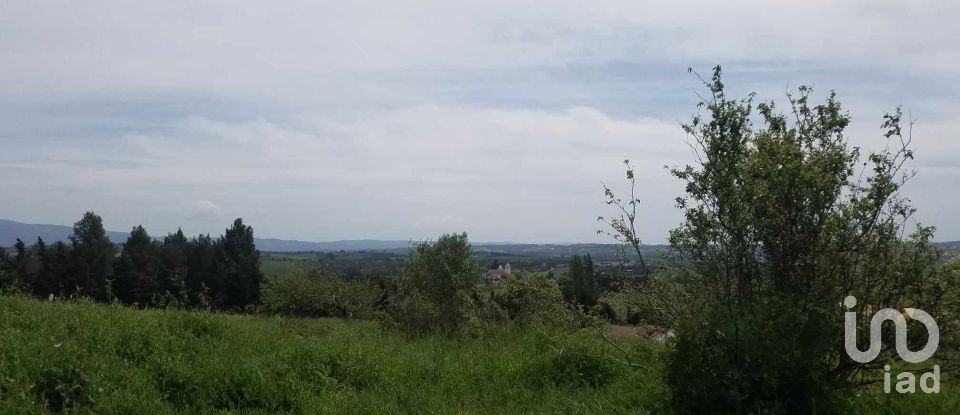 Terrain à Carvalhal de 5 880 m²