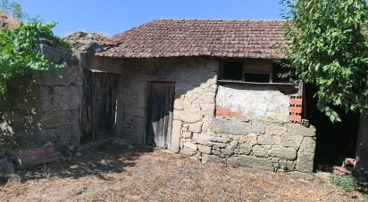 Maison rustique T5 à Travanca de Lagos de 620 m²