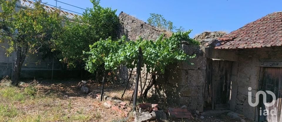 Maison rustique T5 à Travanca de Lagos de 620 m²