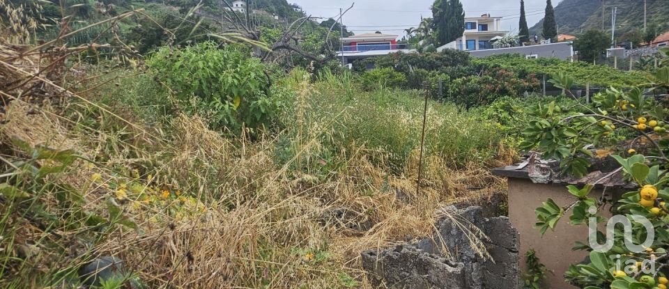 House T3 in Porto da Cruz of 139 m²