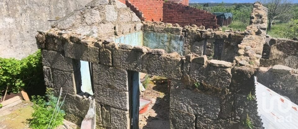 Maison T4 à Canas de Senhorim de 176 m²