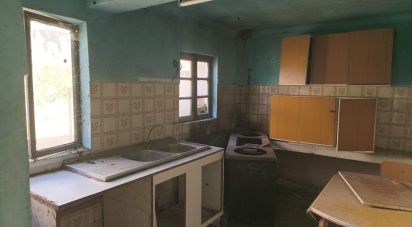 Maison T4 à Canas de Senhorim de 176 m²