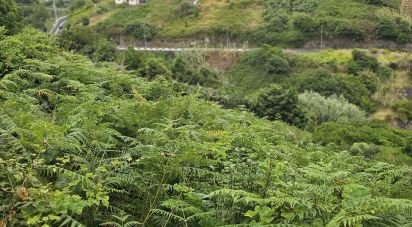 Terrain à Porto da Cruz de 610 m²