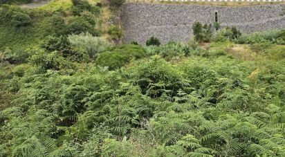 Terrain à Porto da Cruz de 610 m²