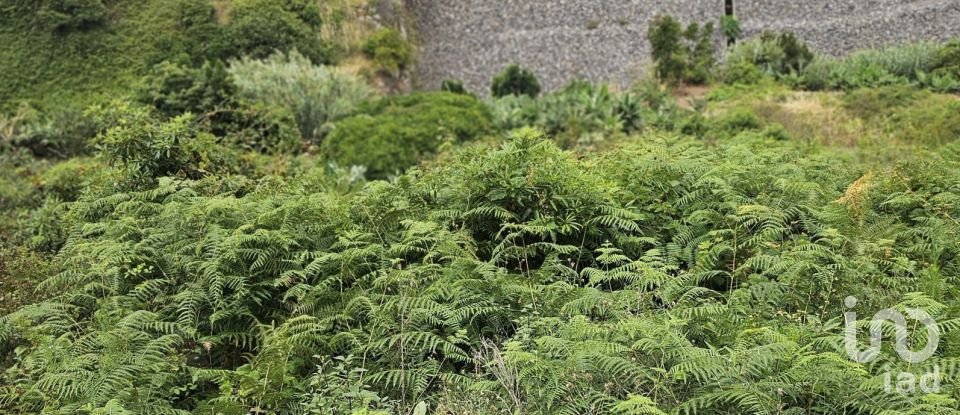 Land in Porto da Cruz of 610 m²