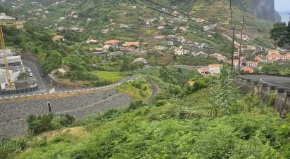 Terrain à Porto da Cruz de 610 m²