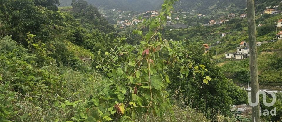 Land in Porto da Cruz of 610 m²