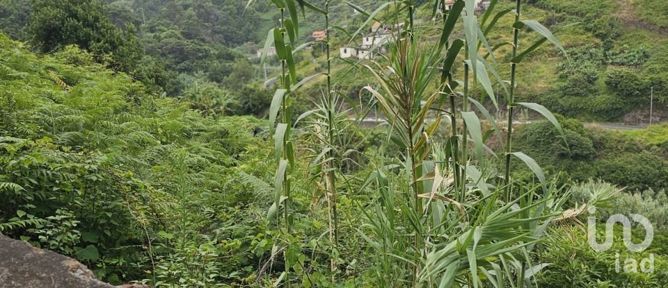 Land in Porto da Cruz of 610 m²