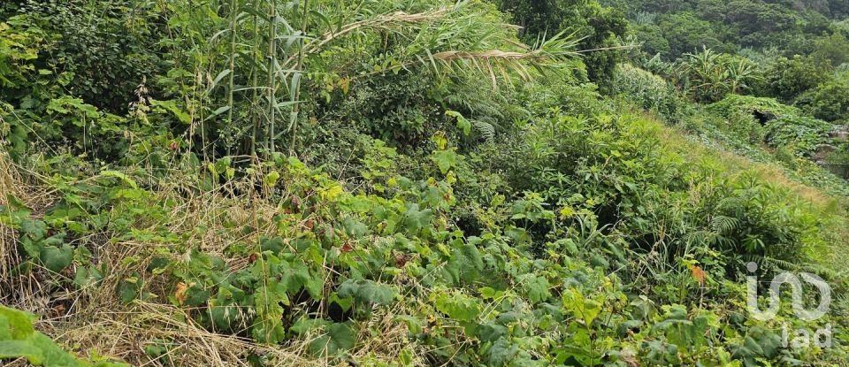 Land in Porto da Cruz of 610 m²