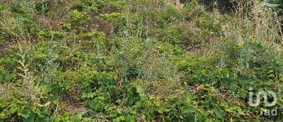 Land in Porto da Cruz of 1,000 m²