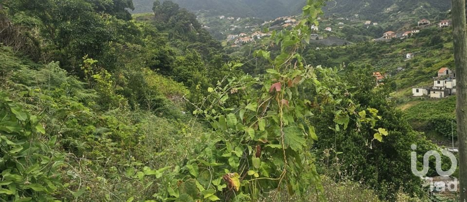 Land in Porto da Cruz of 1,000 m²