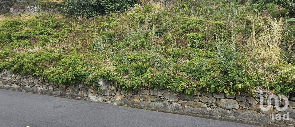 Land in Porto da Cruz of 1,000 m²