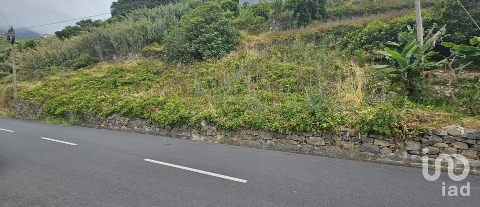 Land in Porto da Cruz of 1,000 m²