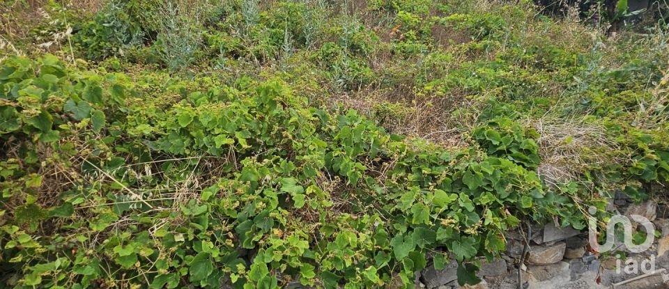 Land in Porto da Cruz of 1,000 m²