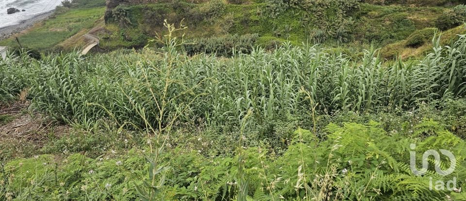 Land in Porto da Cruz of 1,000 m²