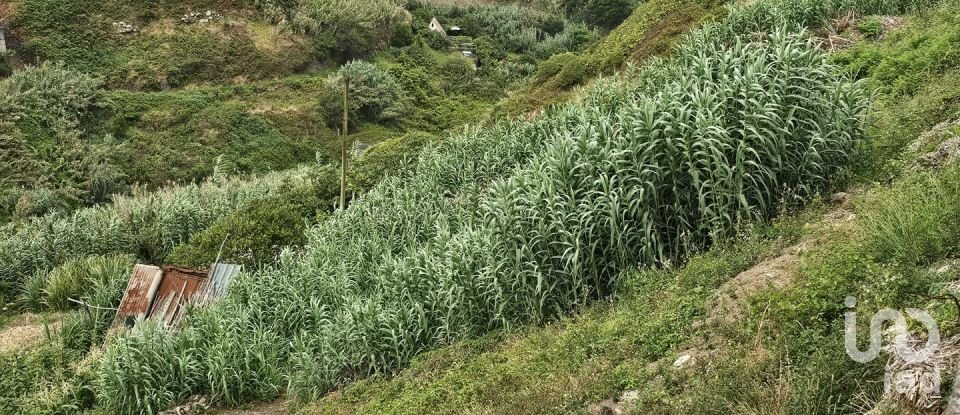 Land in Porto da Cruz of 1,000 m²