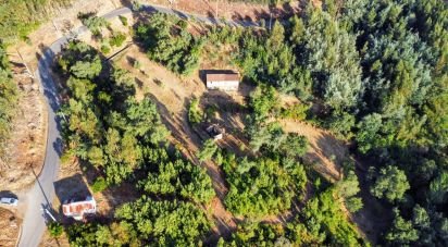 Maison rustique T0 à Madeirã de 124 m²