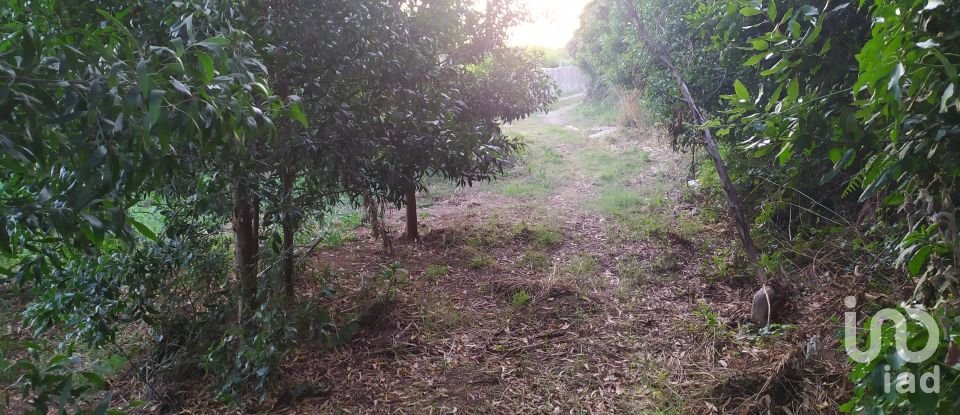 Building plot in Valença, Cristelo Covo e Arão of 800 m²