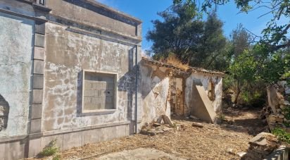 Block of flats in Santa Bárbara de Nexe of 175 m²
