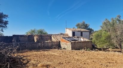 Block of flats in Santa Bárbara de Nexe of 175 m²